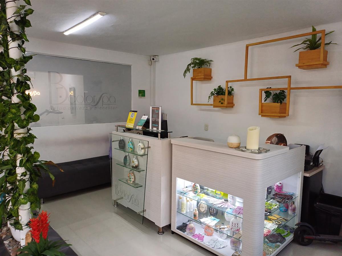 Recepción blanca con estantes de madera y plantas